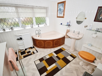 Picture 15